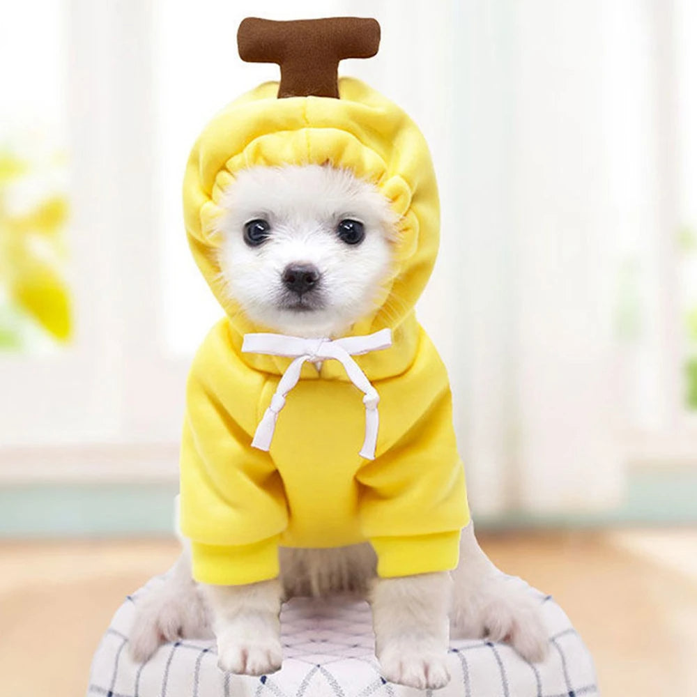Cute Print Fleece Hoodie for Small Pets