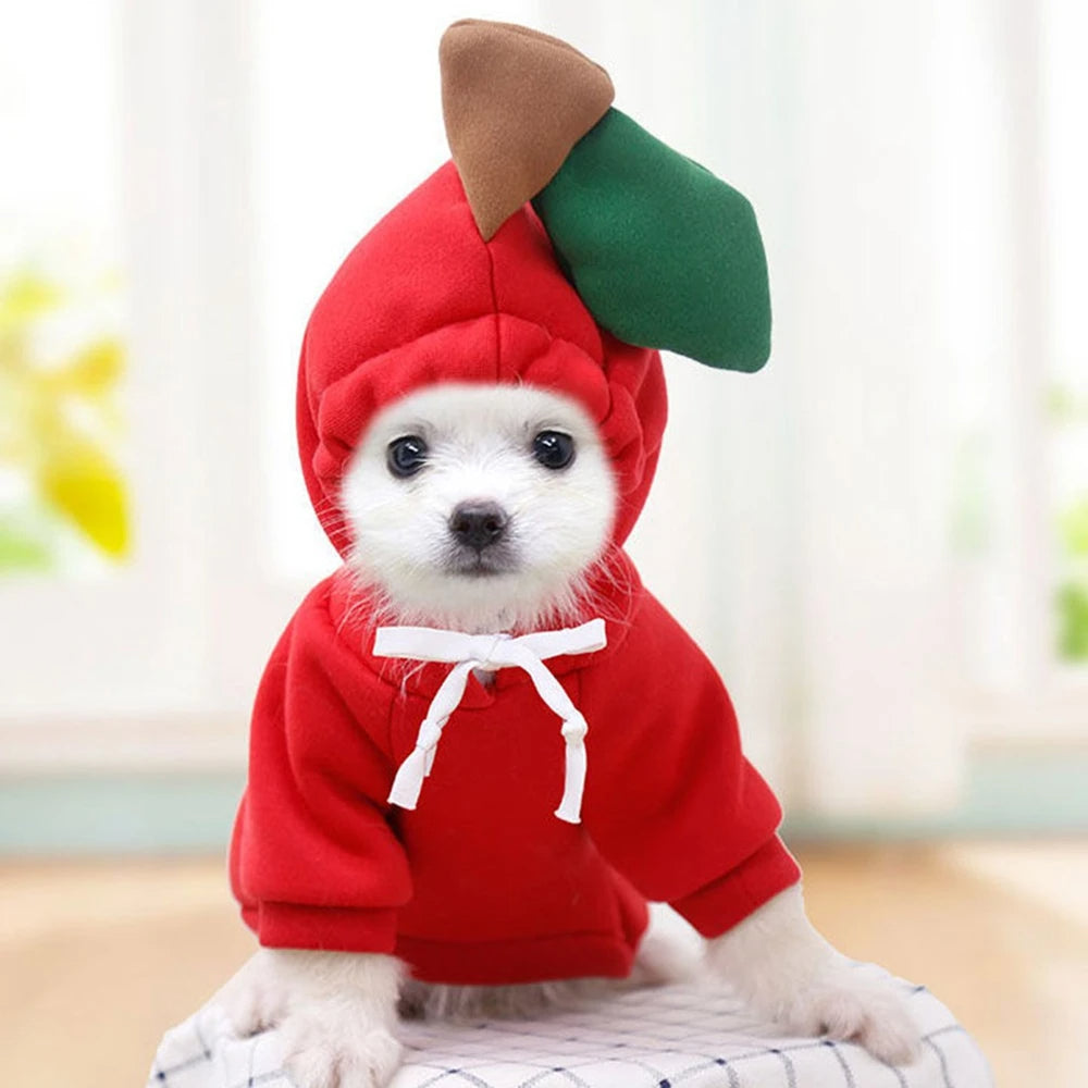 Cute Print Fleece Hoodie for Small Pets