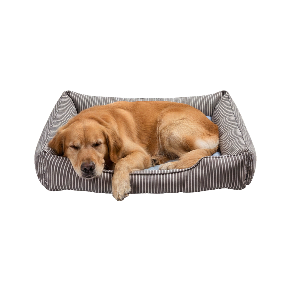 Pet Cooling Bed