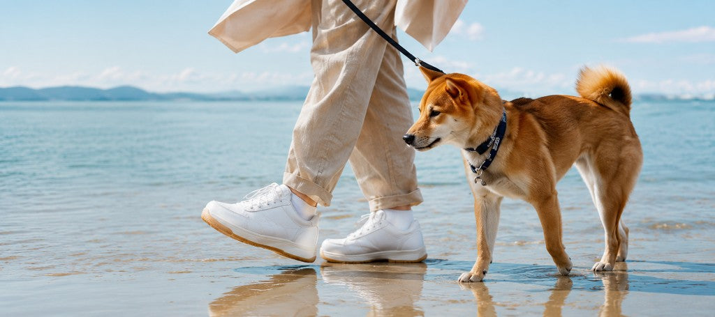 PAWSITIVELY PERFECT PICKS